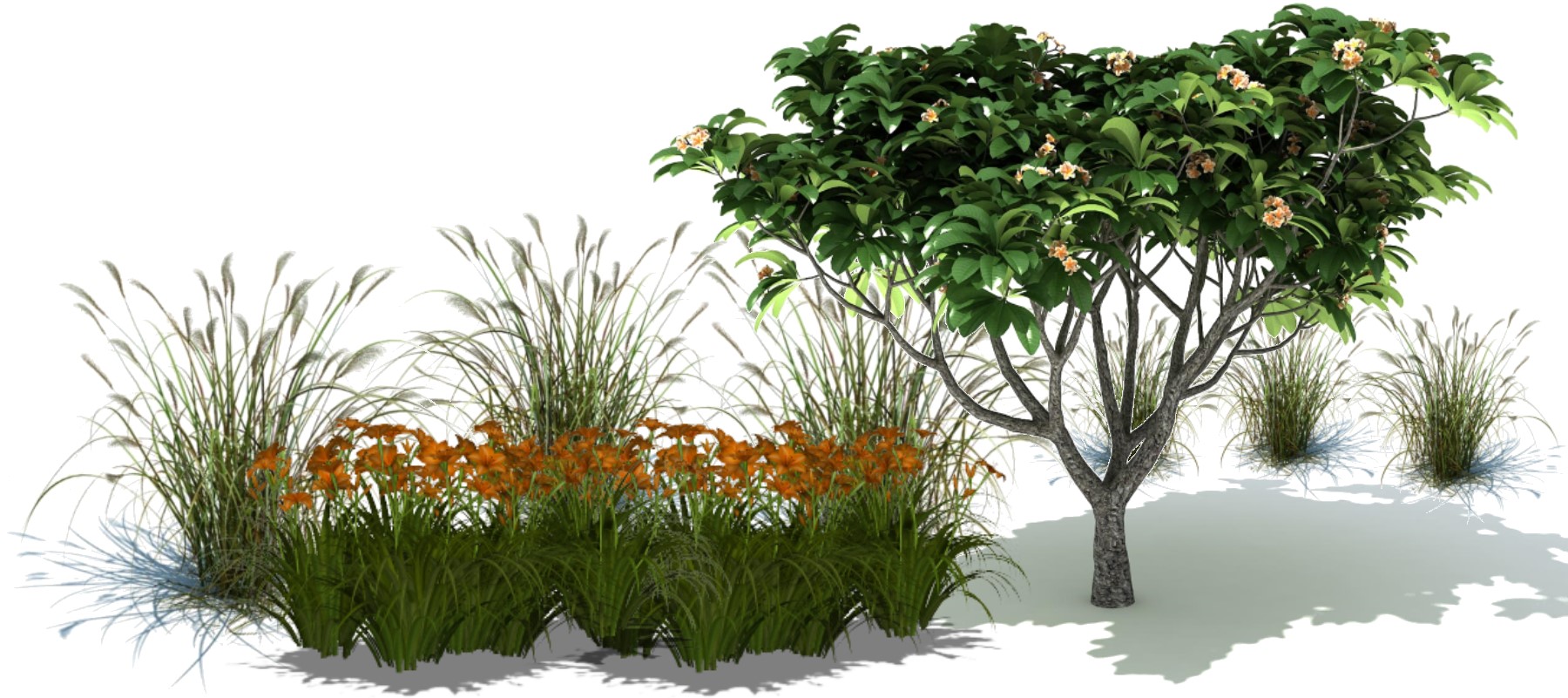 Home Page - Plant Library